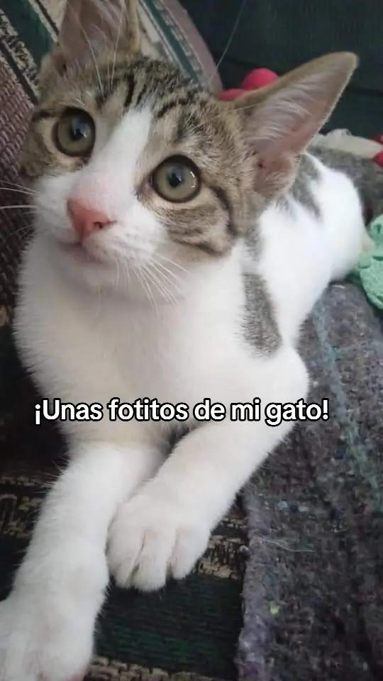 @Valentina roblos