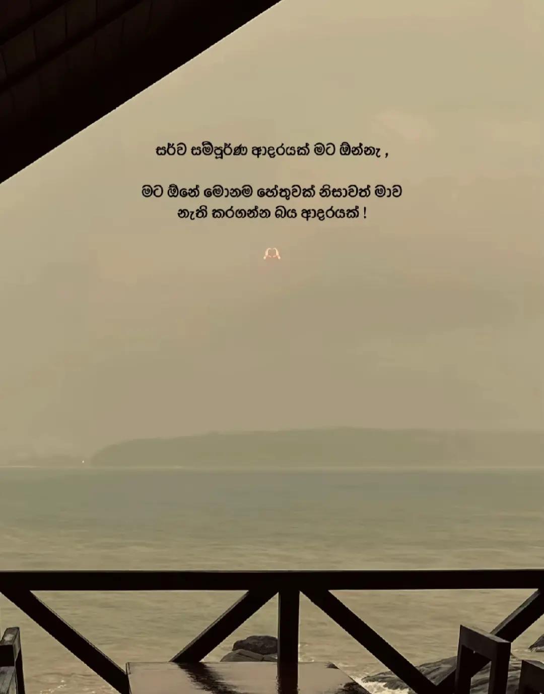 @TuTu 🪬