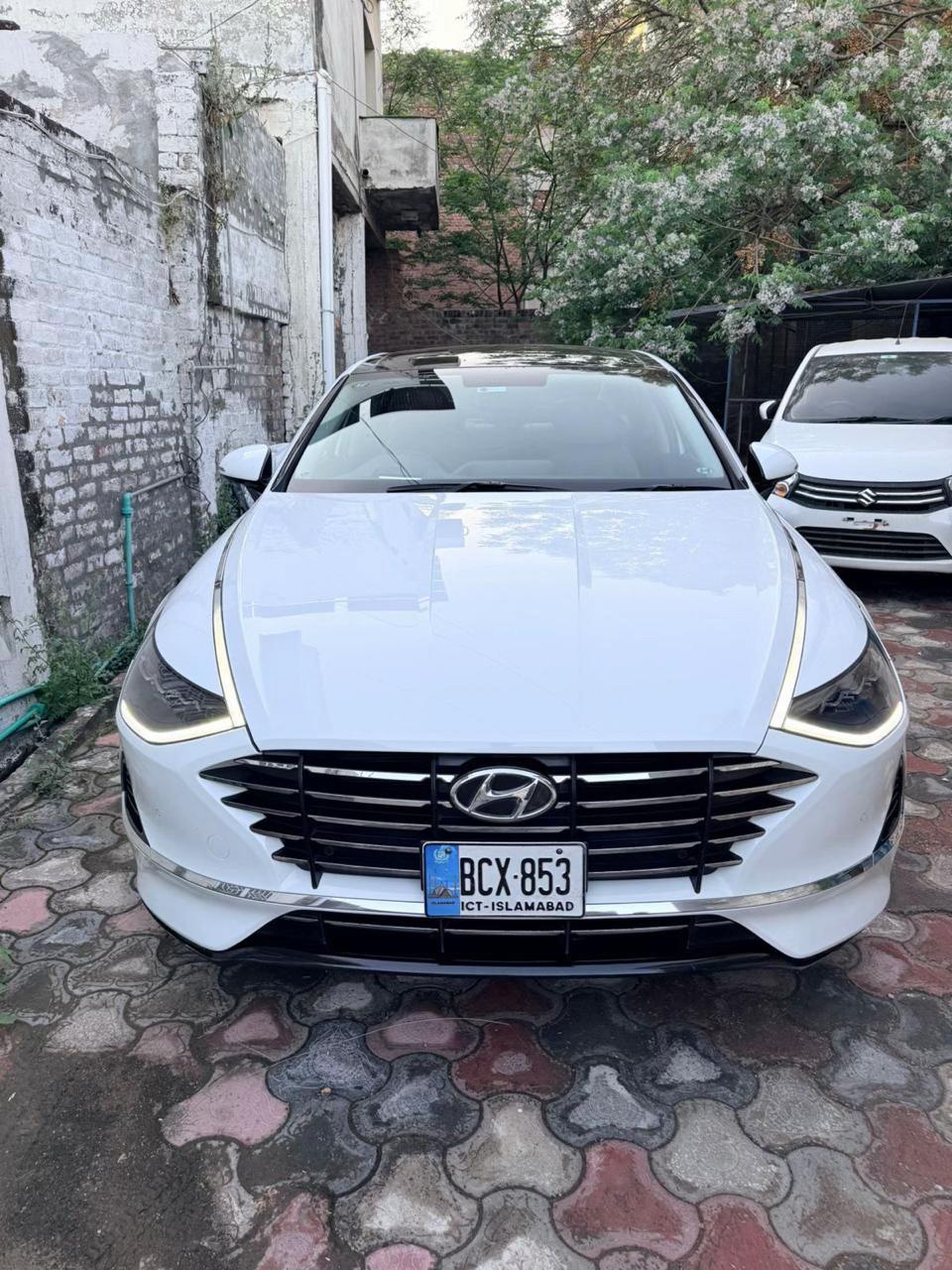 @Chaudhary Sheraz⚜️
