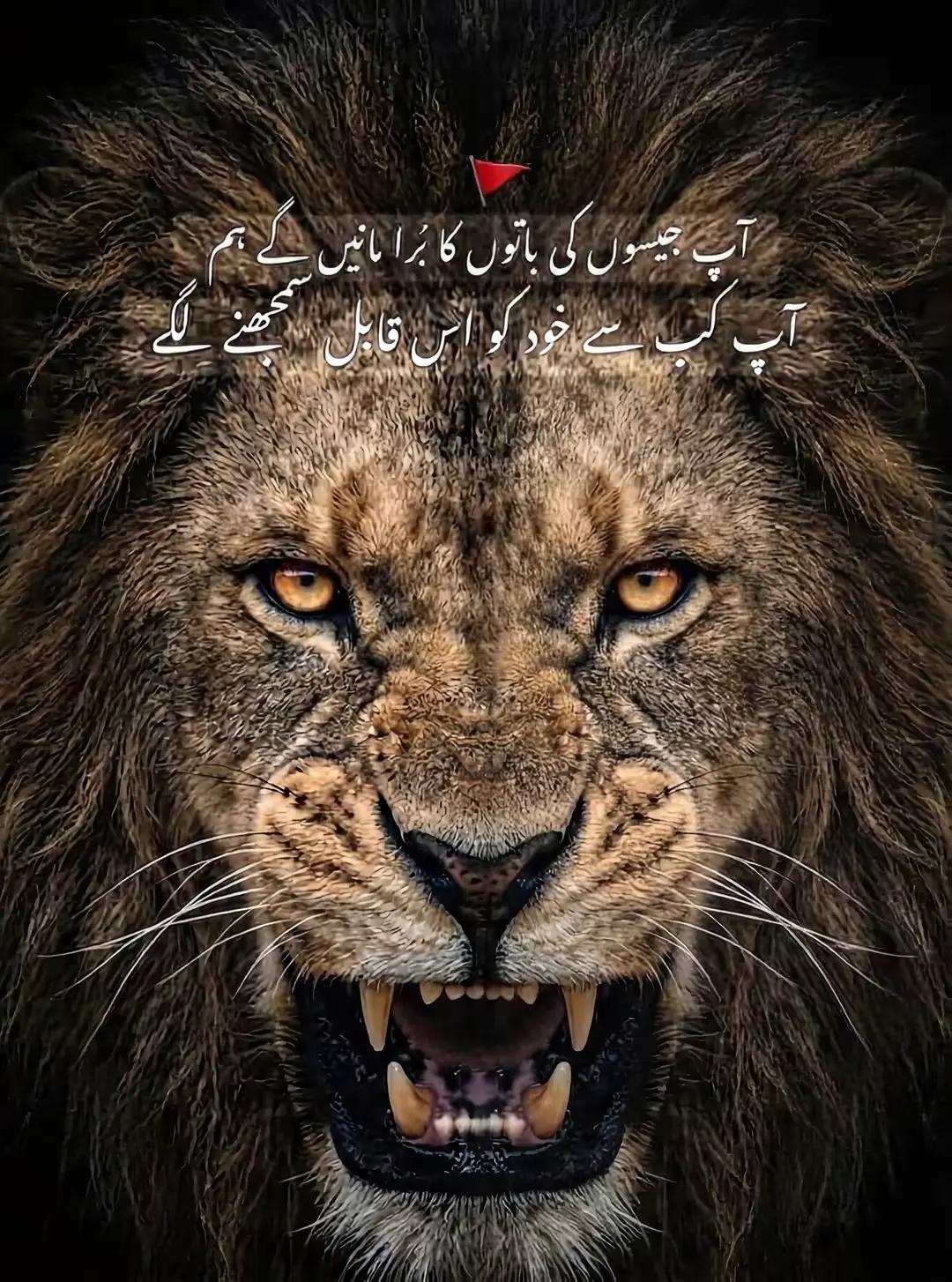 @👑RAJPOOT🦅🔥💀