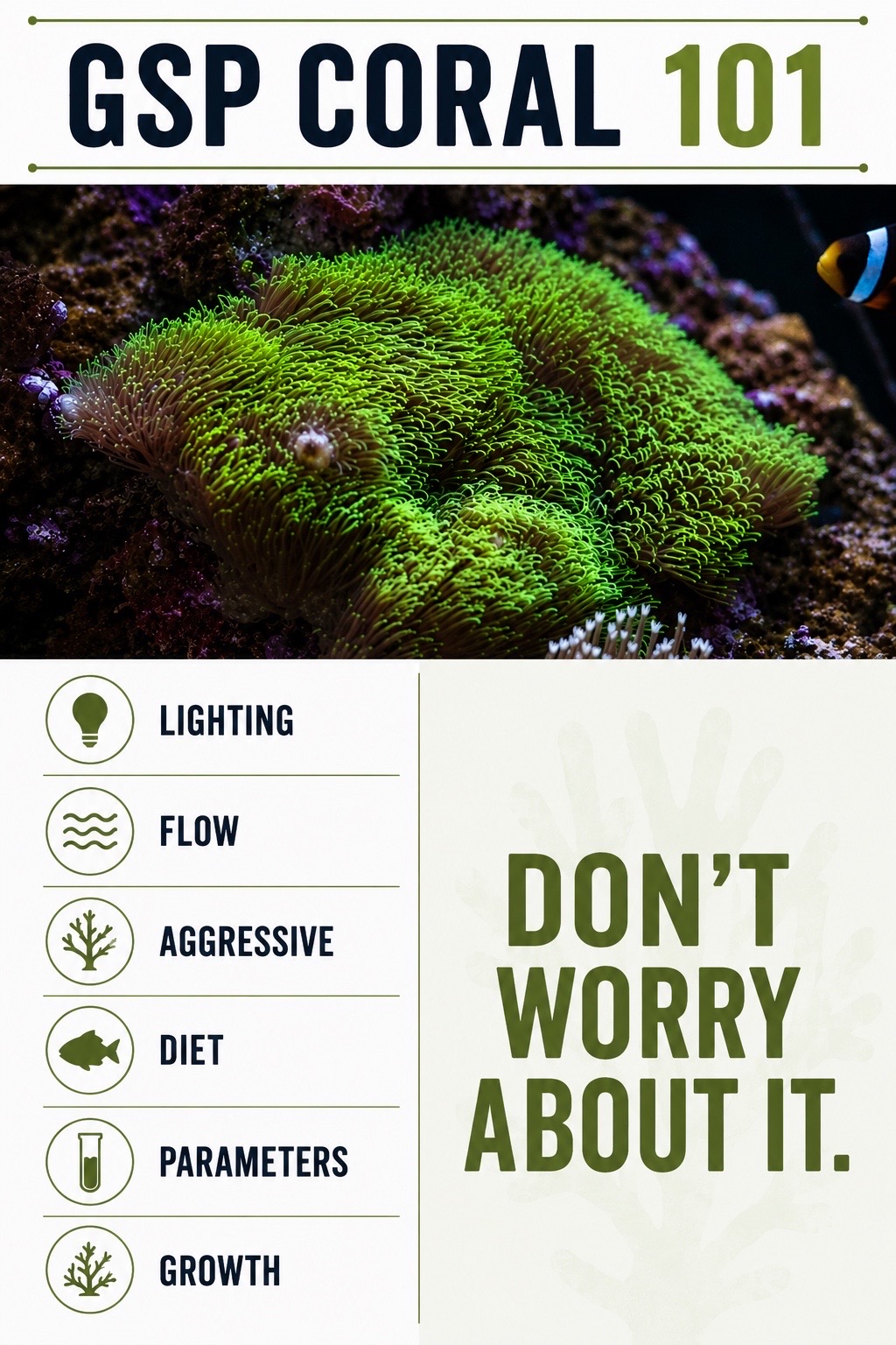 @ReefTok