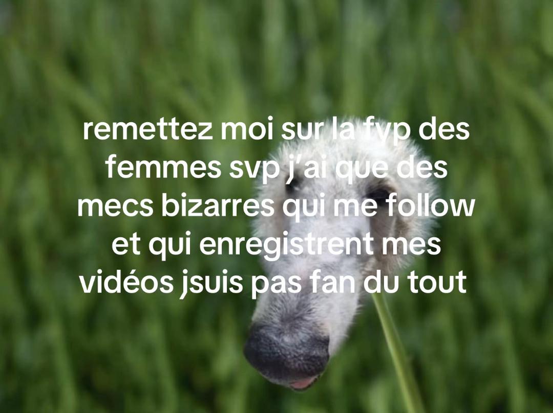 @louiSe