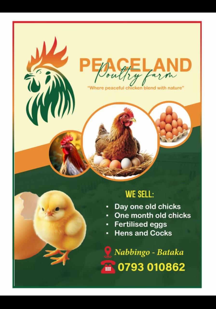 @Peaceland Poultry Farm🐔🐣🐓