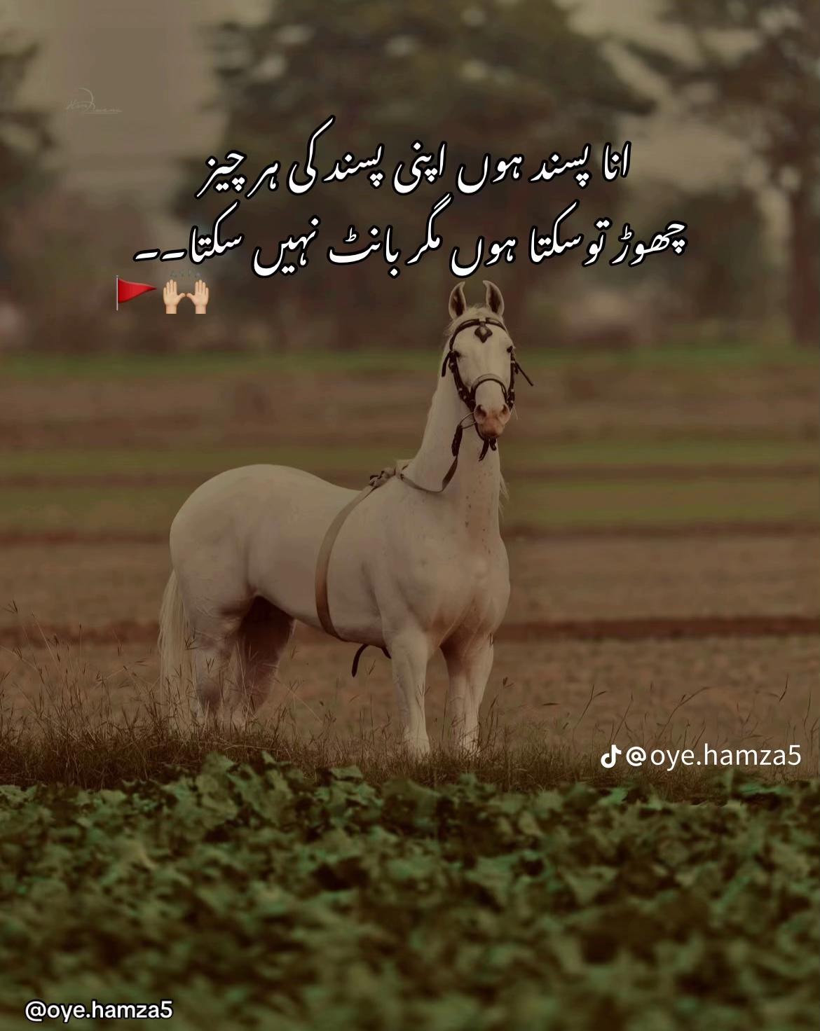 @🚩ذیشان کہتے ہین