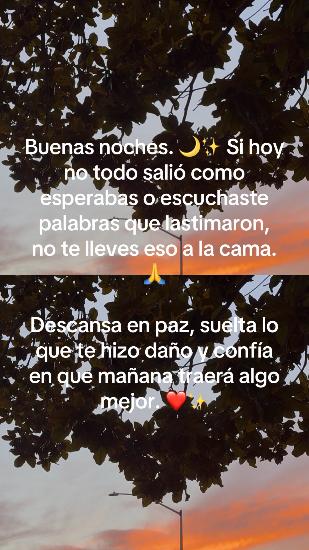 @i_bella78