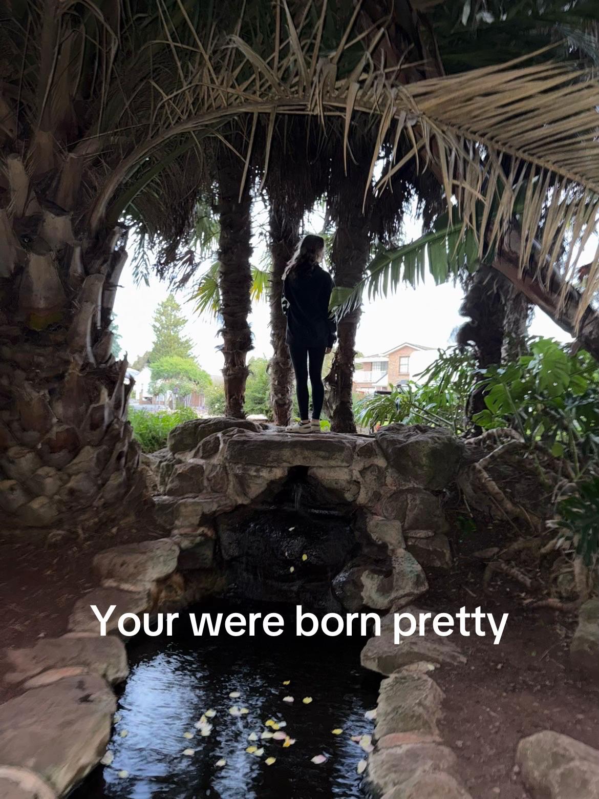 @𝒜 🦖