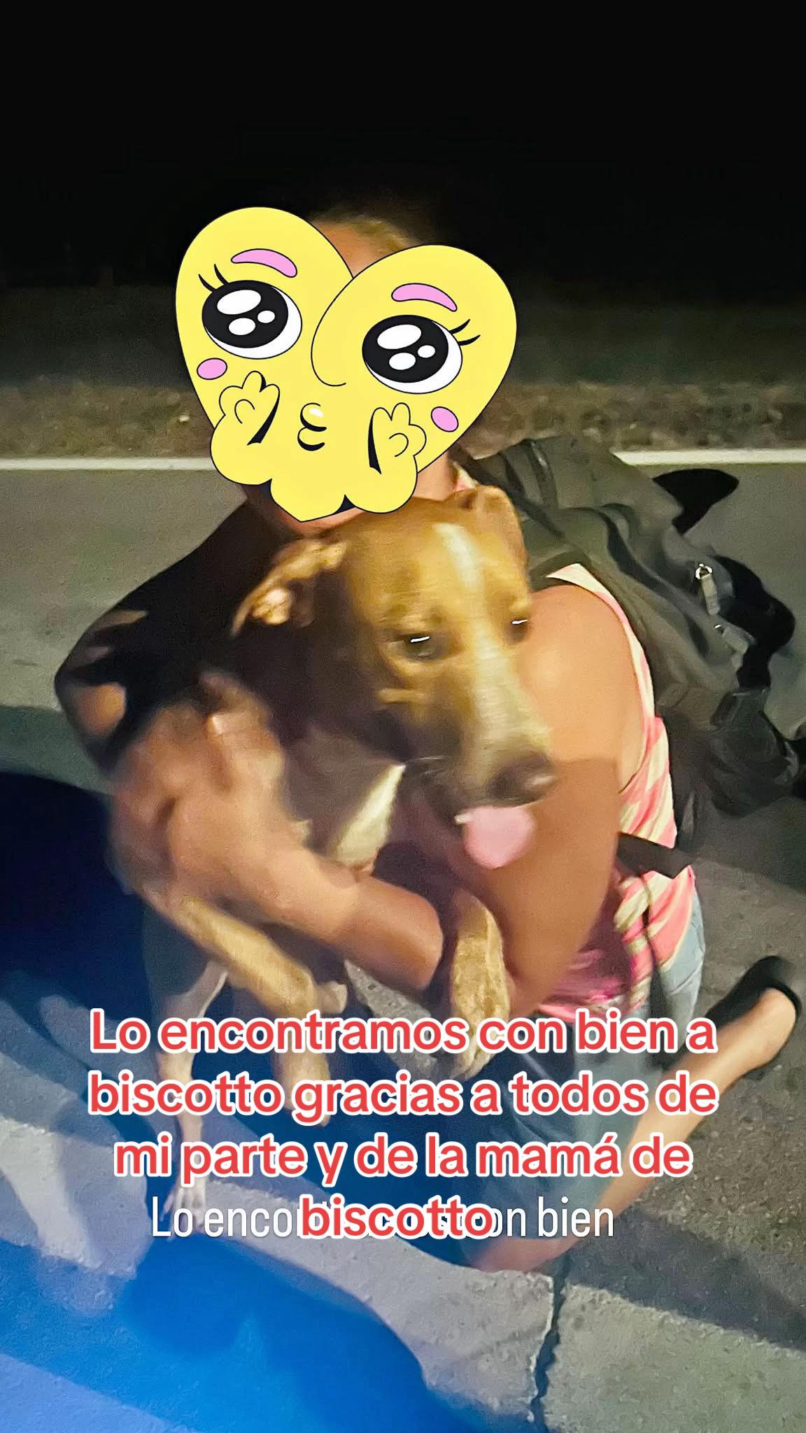 @la Bombona SV 🇸🇻 ⚔️👸🏼💚🐱