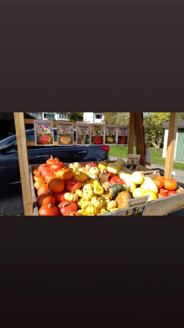 @birgit.hohleweg