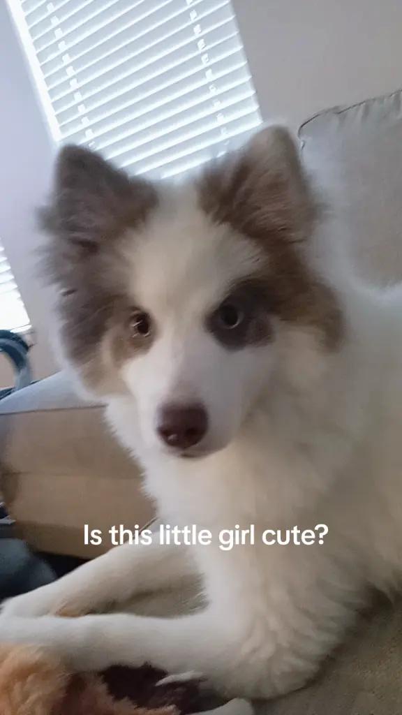 @Nico