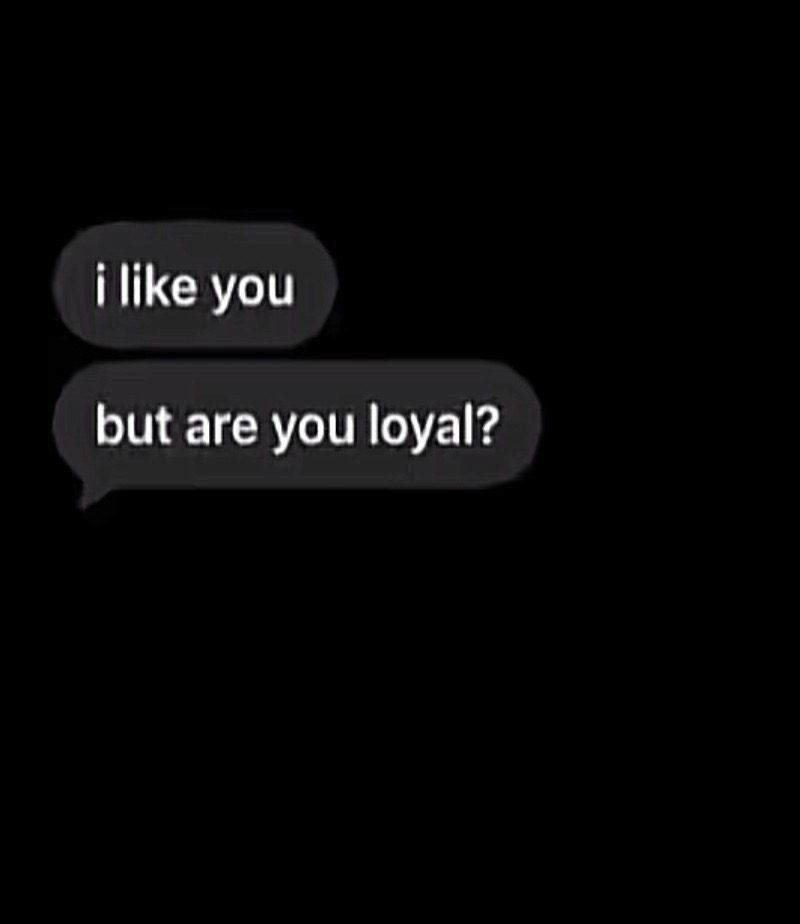 @xylo