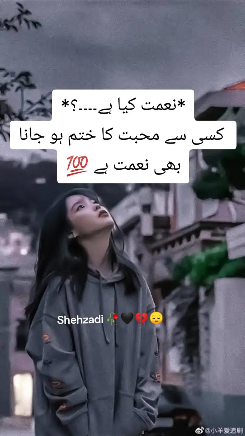 @shehzadi g😎