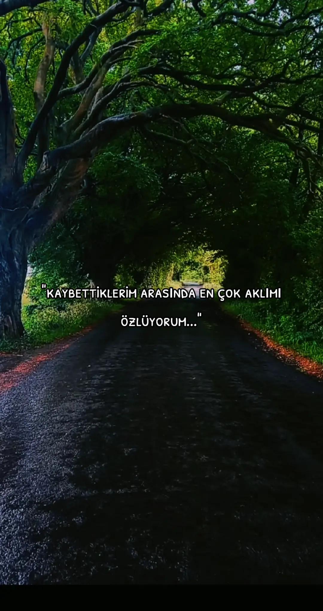 @hislere yolculuk