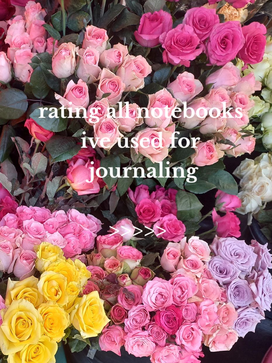 @fae ♡ | journaling....?