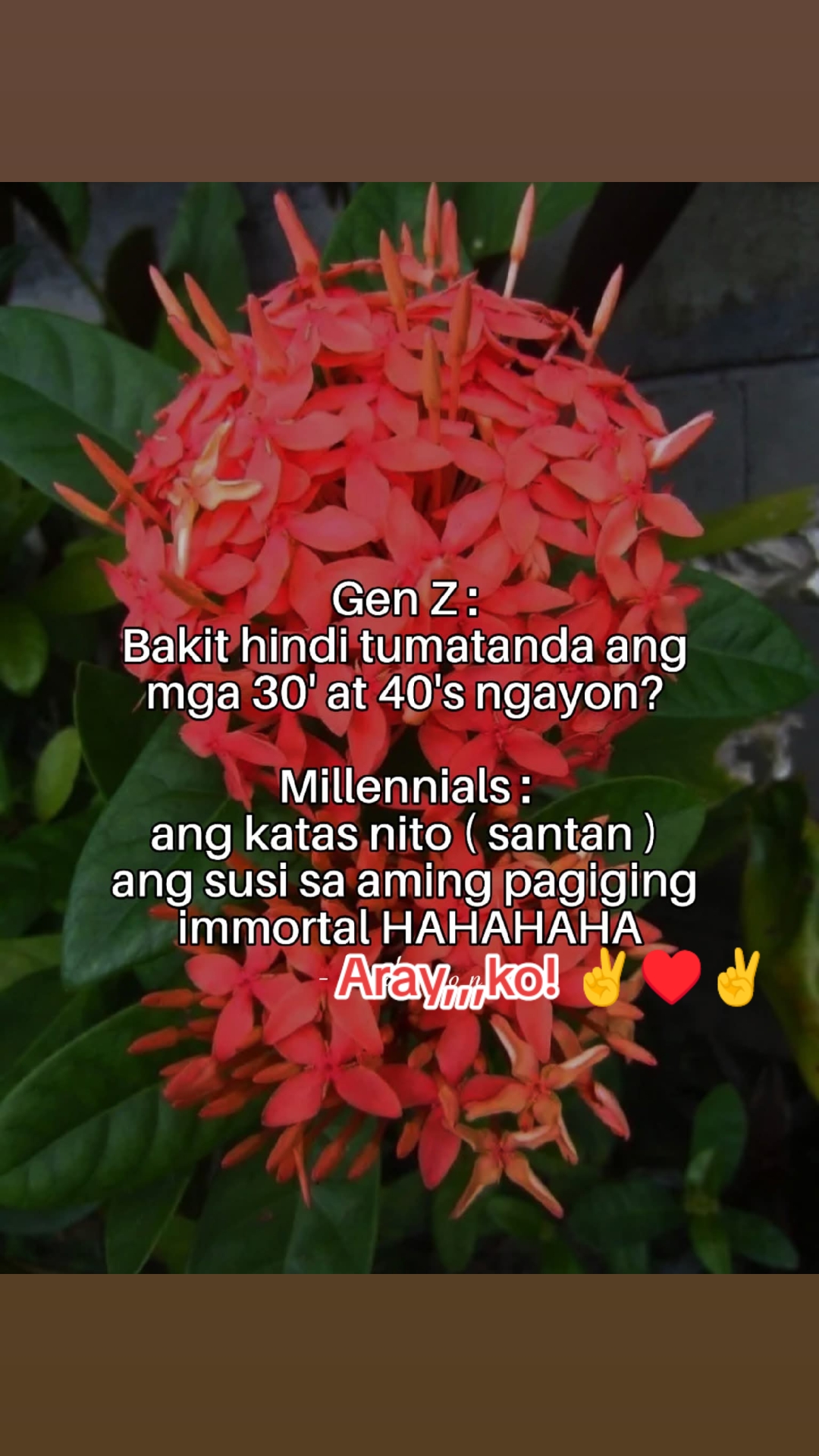 @Aray ko!