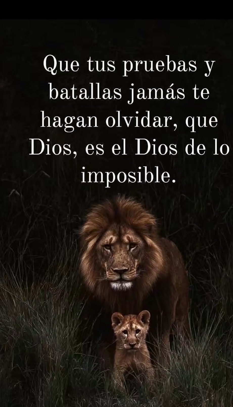 @Leticia