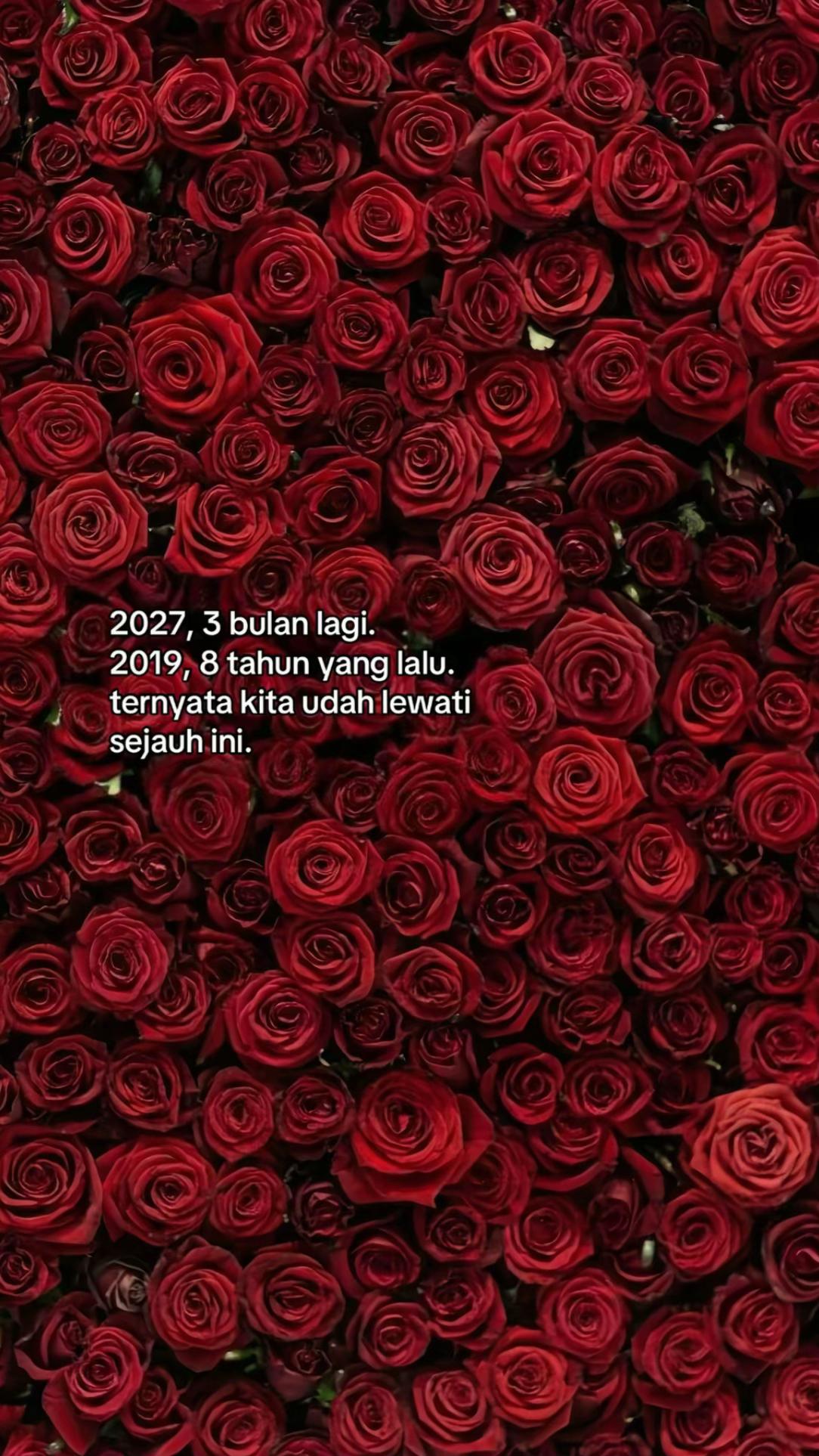 @ᝰ.