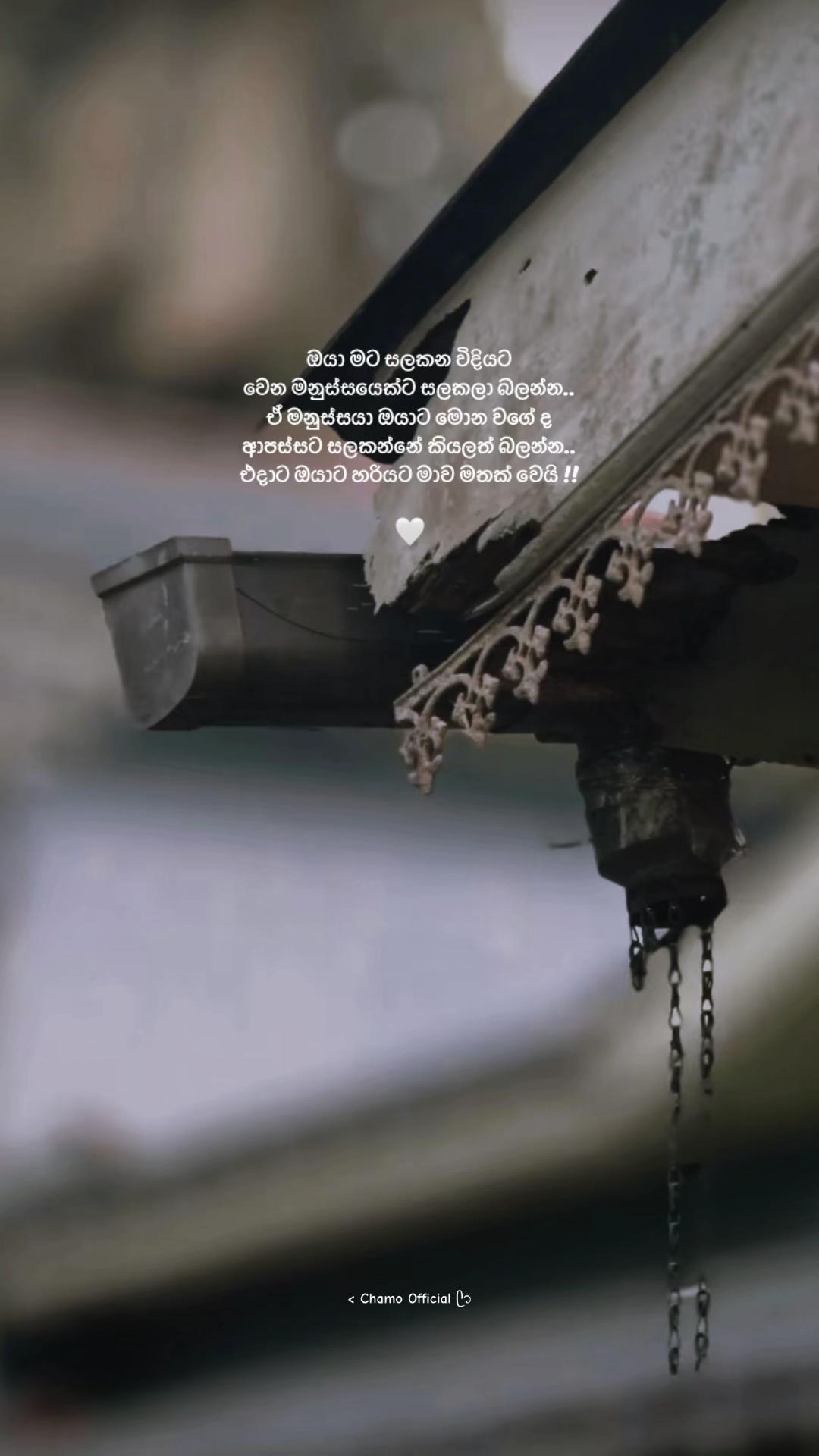@< 𝐂𝐡𝐚𝐦𝐨 ᥫ᭡