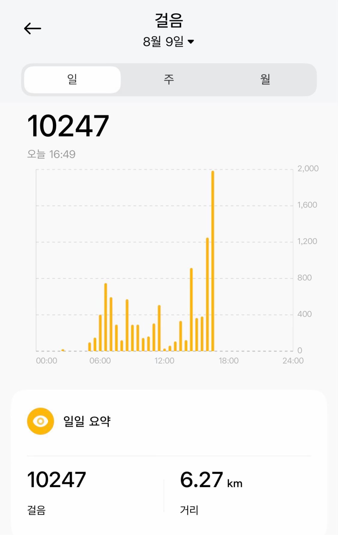 @앞잡이코리아