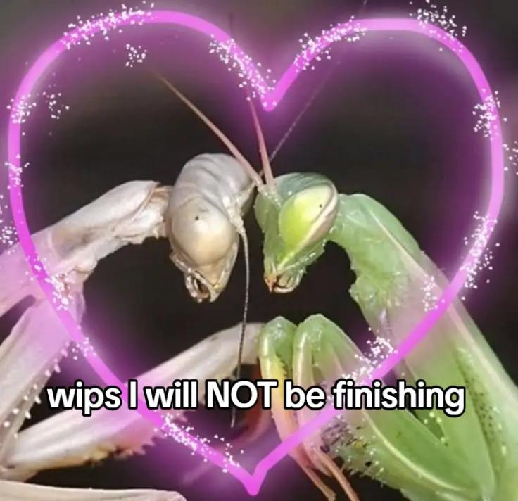 @Lance(lot)⋮ ᛝ་༘࿐