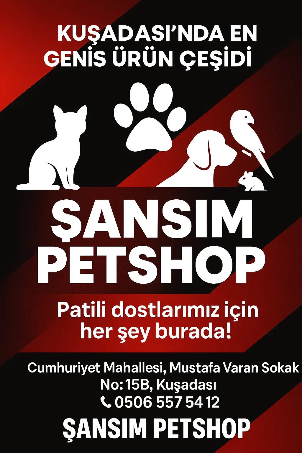 @Elif &Ccedil;inar