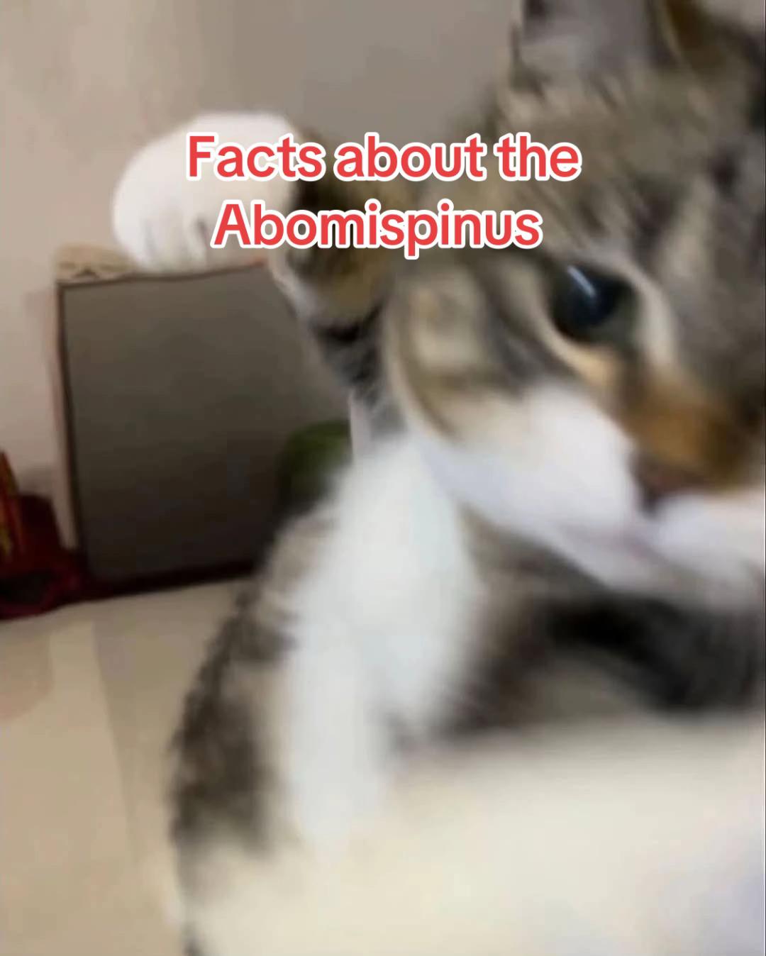 @Official_Spiny