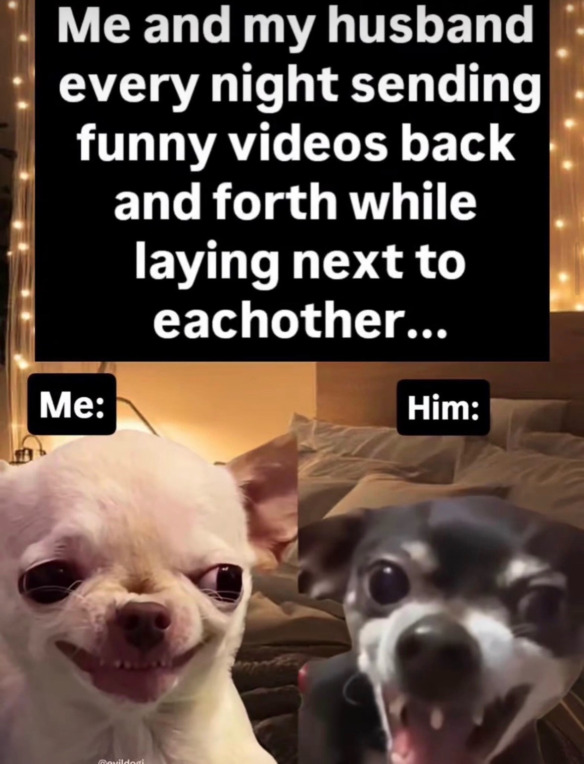 @mysteryladysmile1