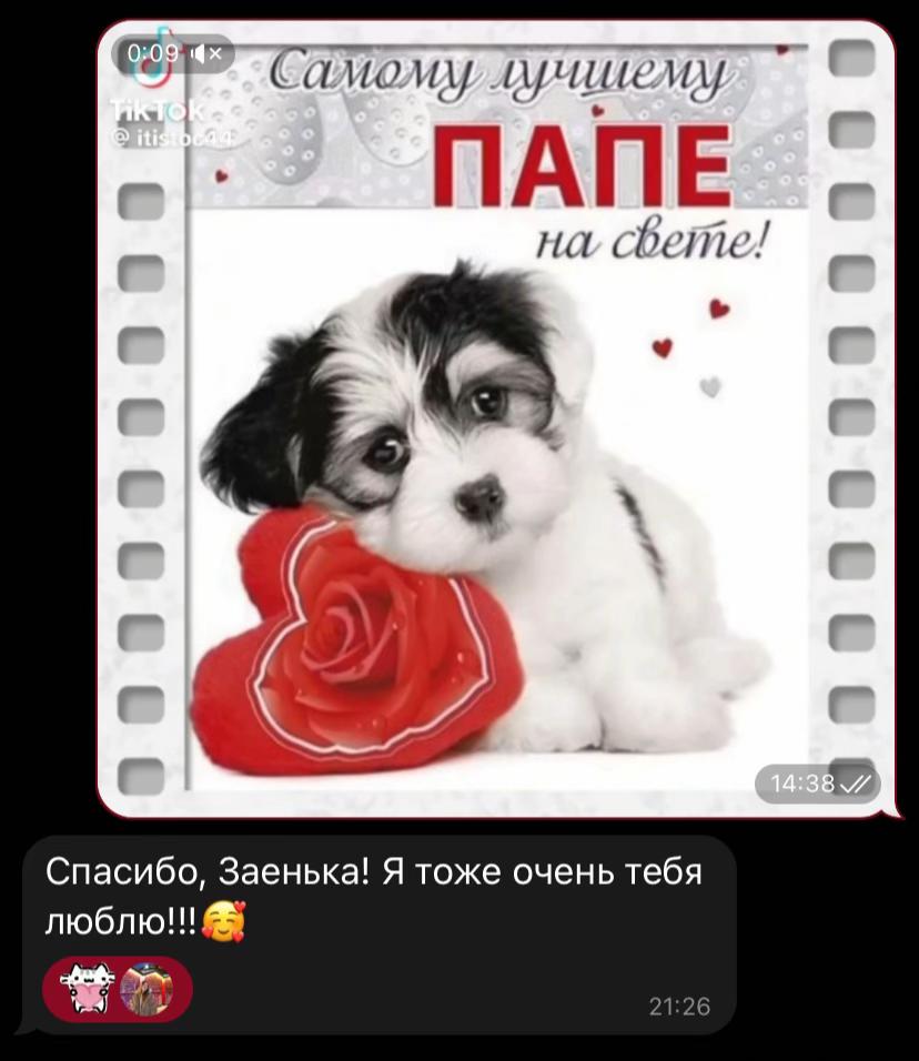 @калашникова