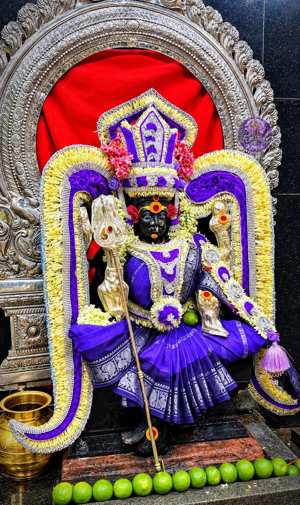 @💜🦚வேதா🔱🌝