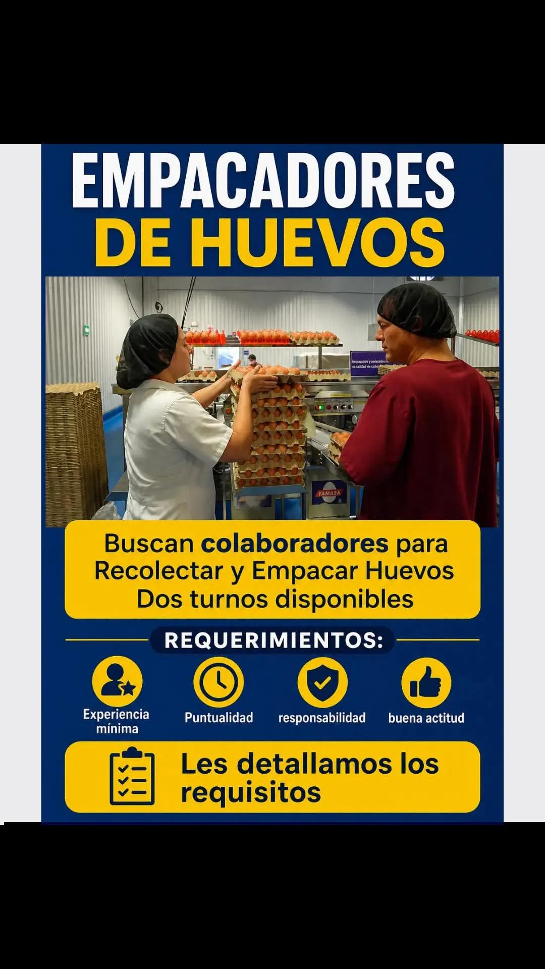 @trabajo si hay✅️