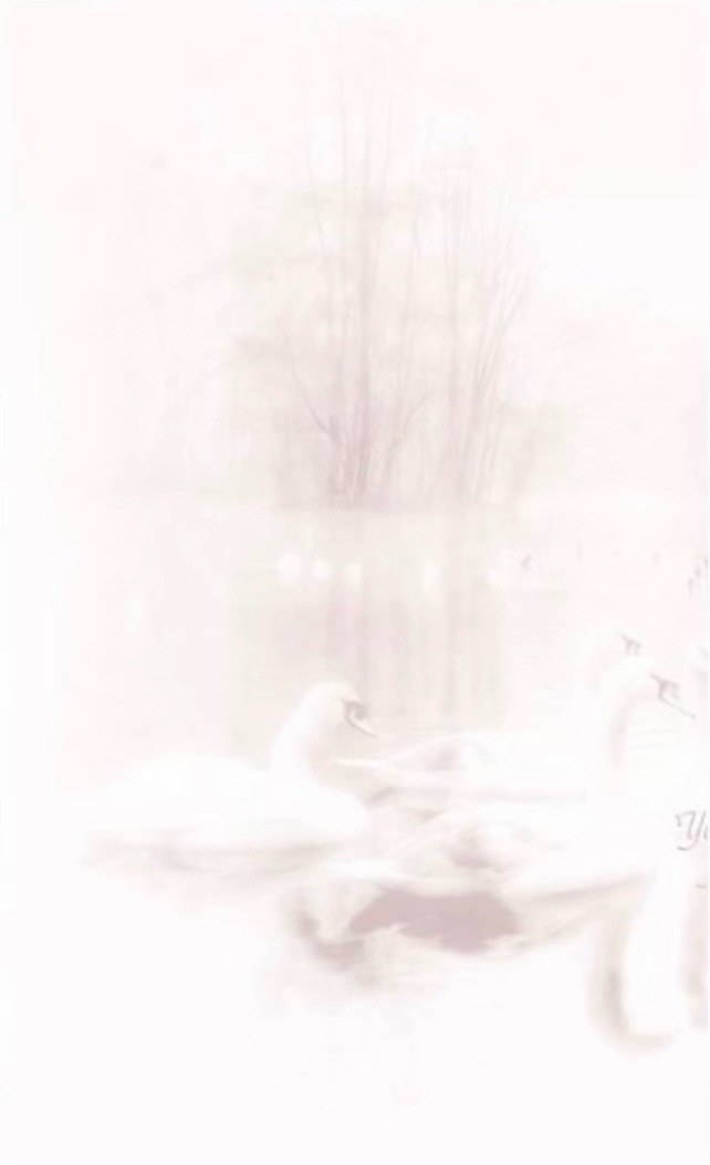 @｡˚꒰ঌ 𝒮𝓀ℯ𝓉𝒸𝒽𝓎 ໒꒱˚｡⋆
