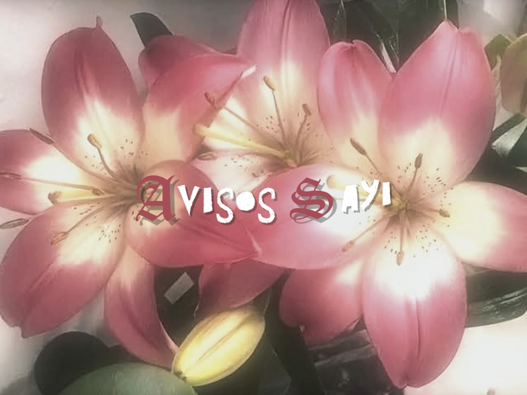 @🥐̼ᩙ   ֺ  ﹫ Sayi 𐙚  .ᐟ