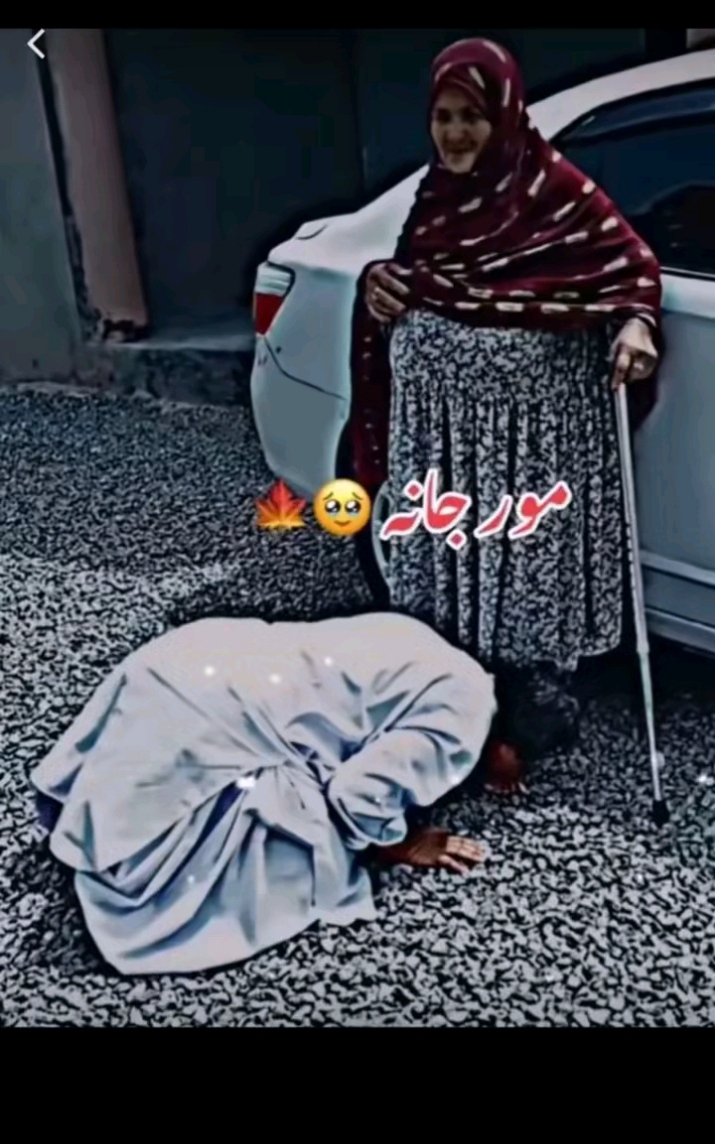@👑Aqib_jani👑