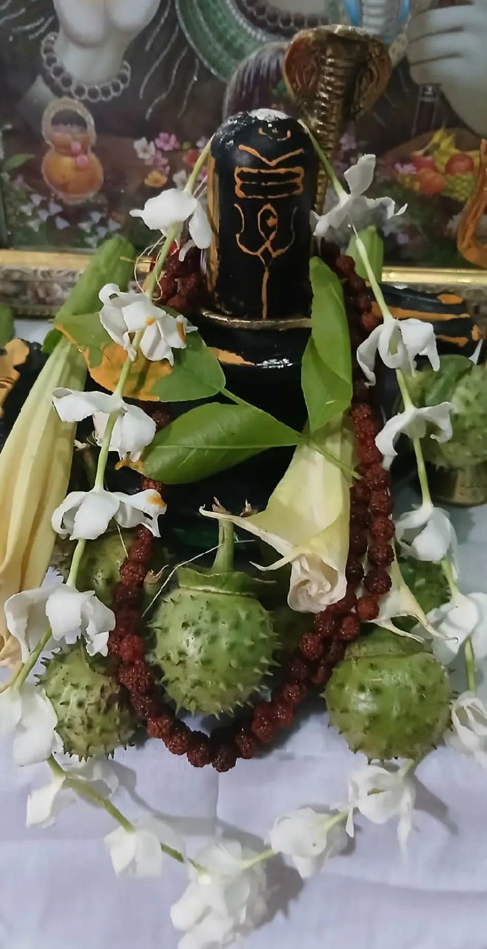 @puja bhattachariya