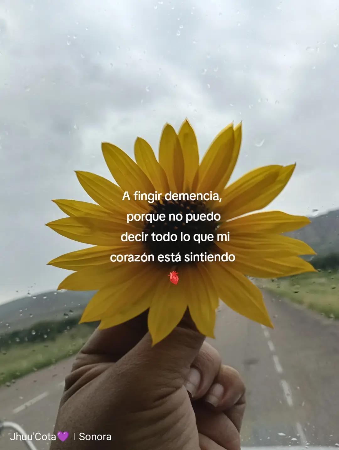 @Jhunnuet 🖤