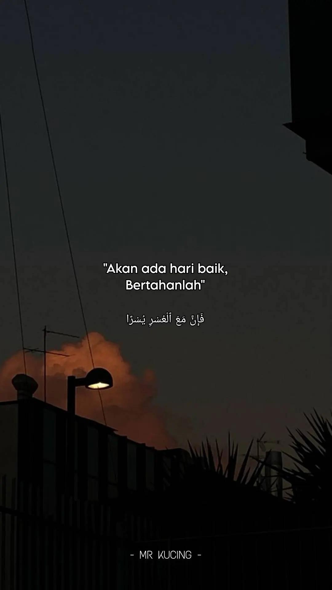 @MR KUCING 🇵🇸
