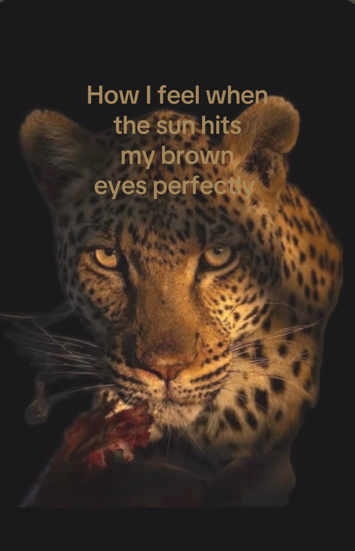 @𝐽𝛼𝜂𝜀𝑠𝑠𝛼