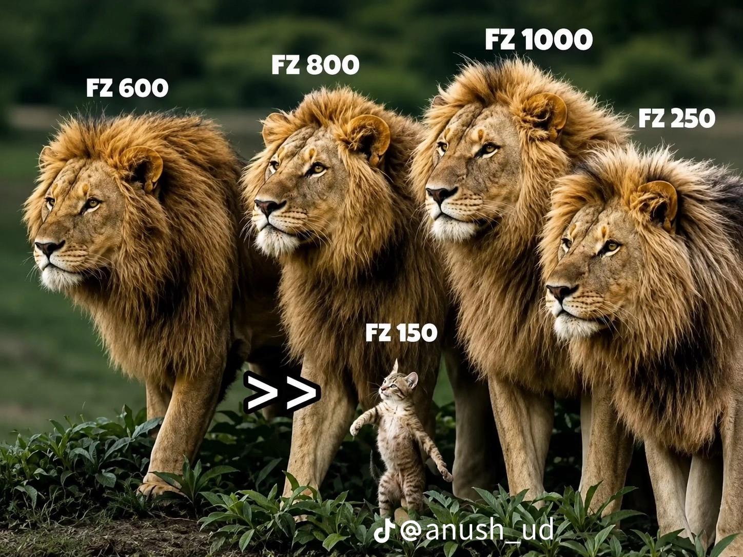 @FZ V2 DEMONE ...o_O