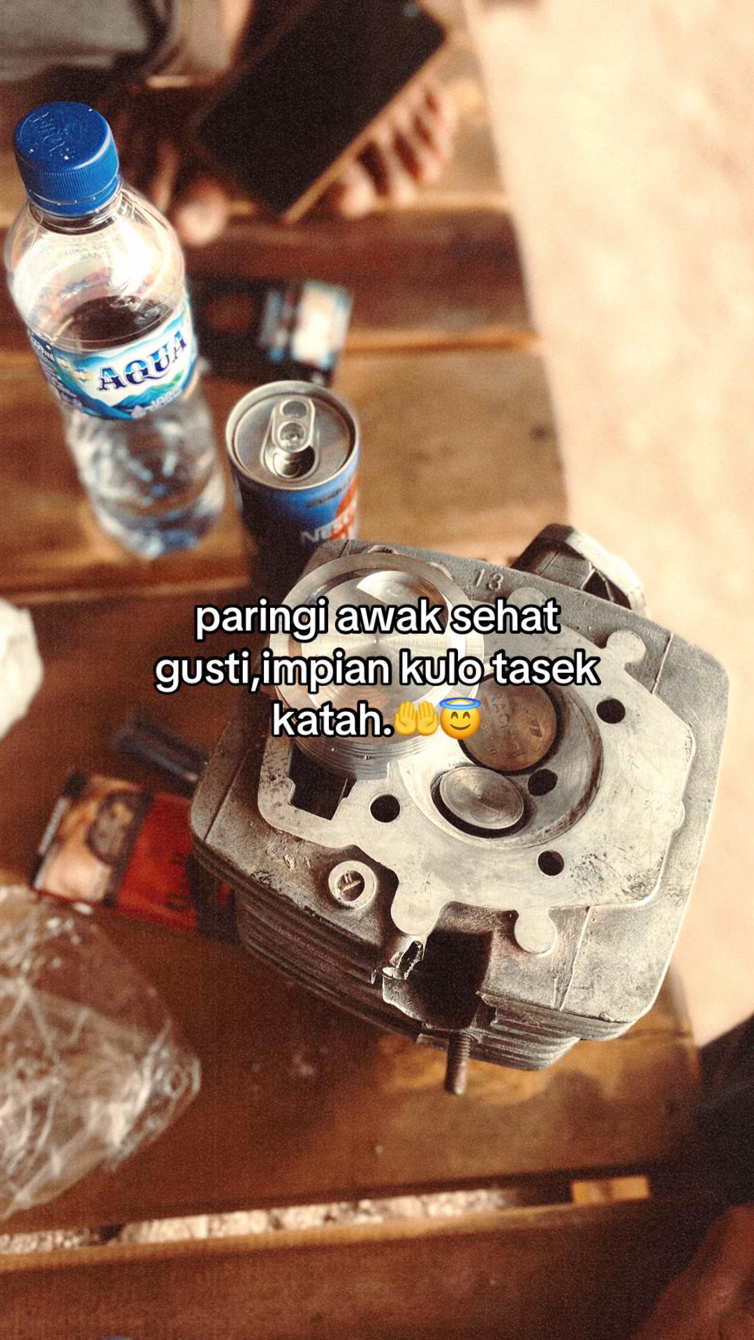 @rikotukul🐢