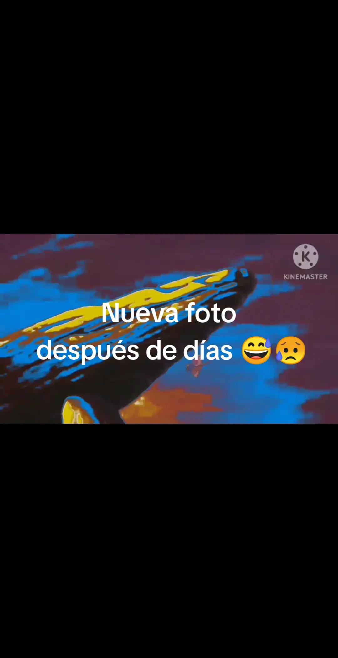 @juliehtcampso03