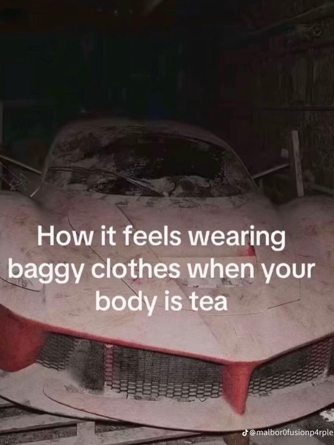 @🌺🐞