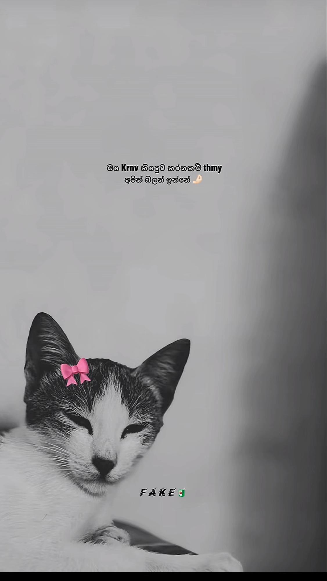 @𝐀𝐤𝐚𝐬𝐡 🍓"