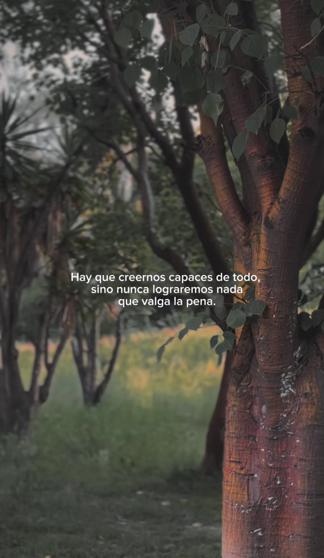 @Andre🌻