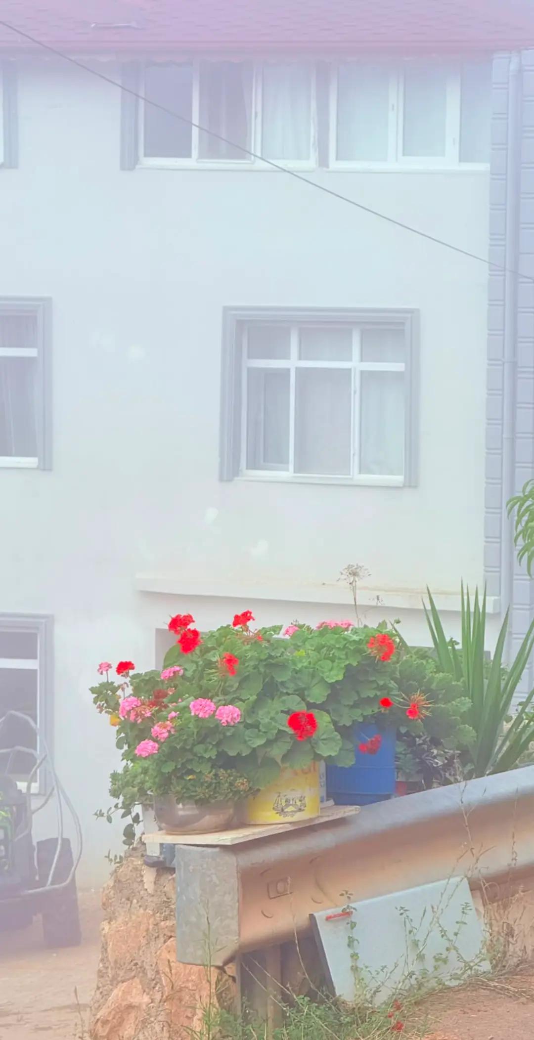 @حسـكا᭓ٰٖ͜وية 🌗🍂