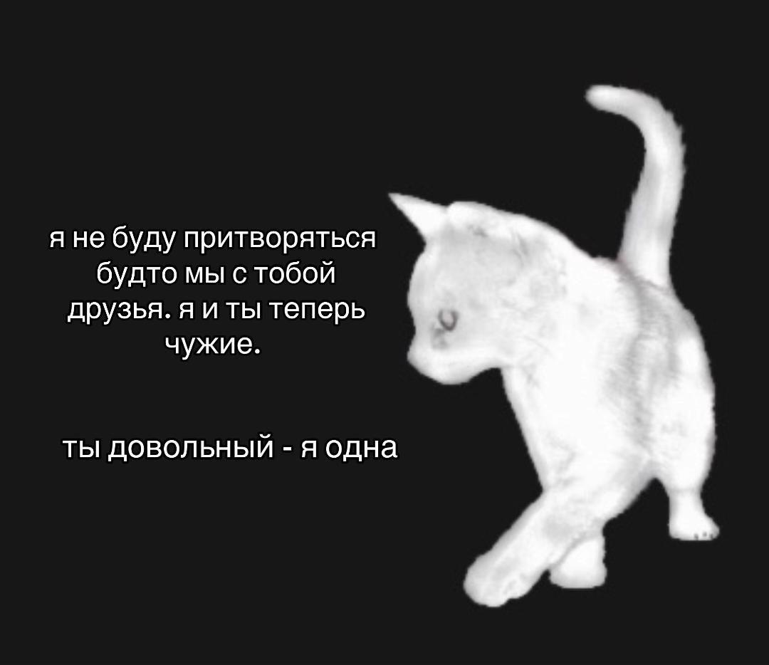 @𓆩yagamiℓight𓆪