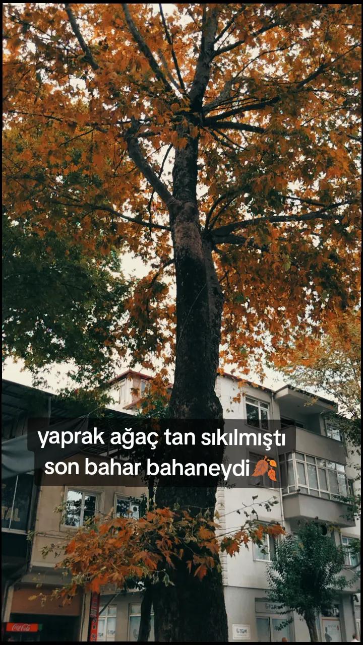 @๐ ๐ฤฐ๐ ๐๐๐๐๐๐๐๐