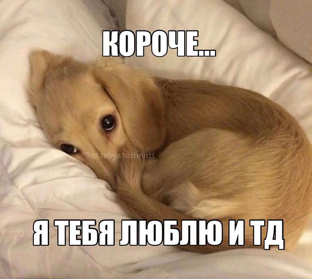 @тг:грустнобезтебя