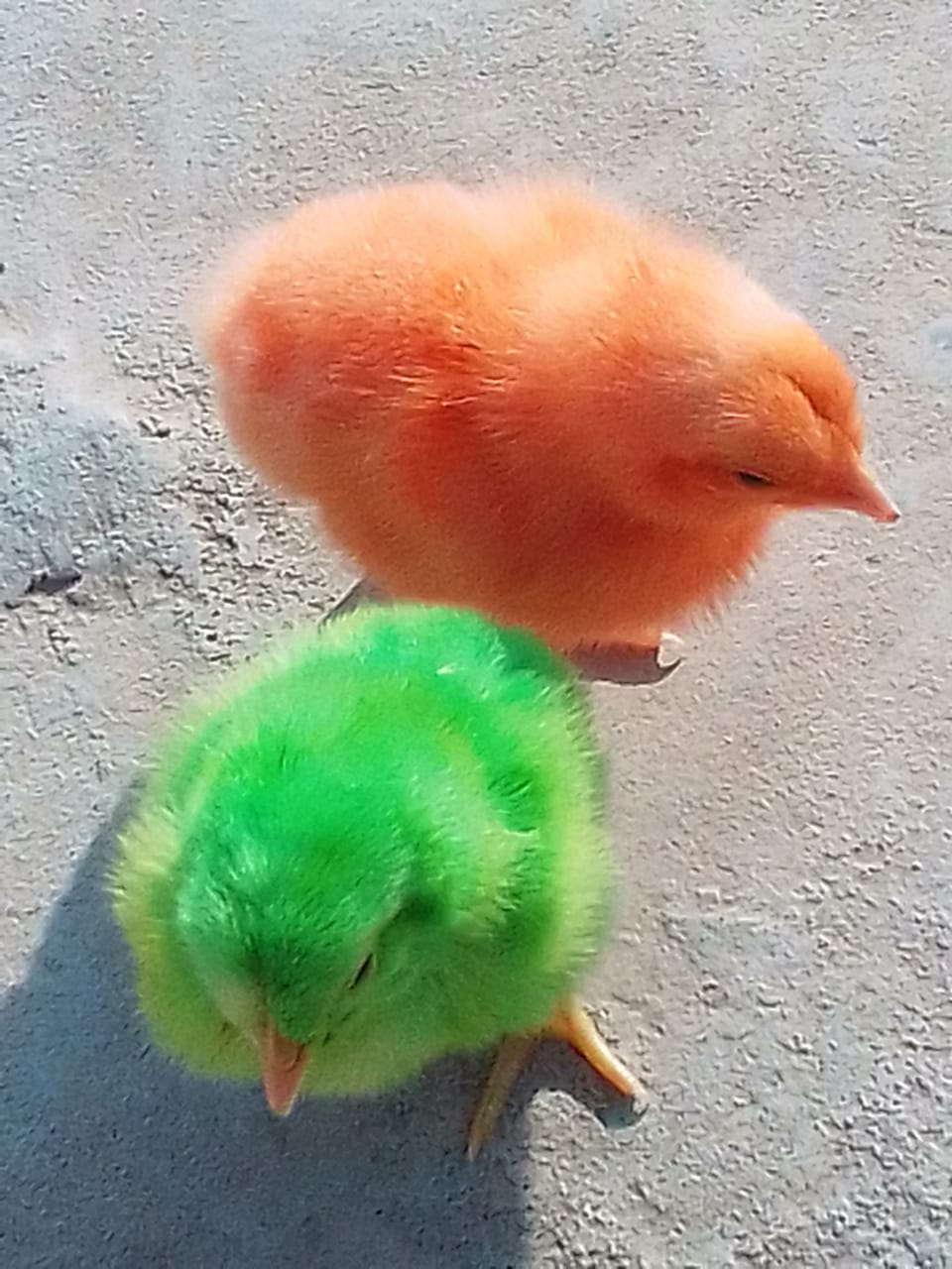 @ðŠðª ðŸðððð ððð ð