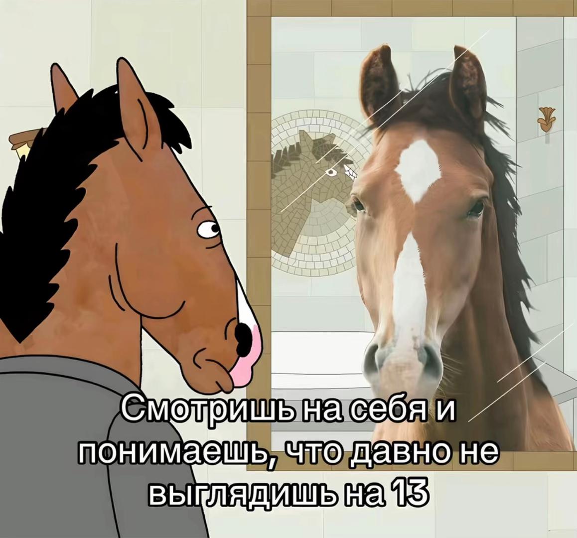 @user666333777