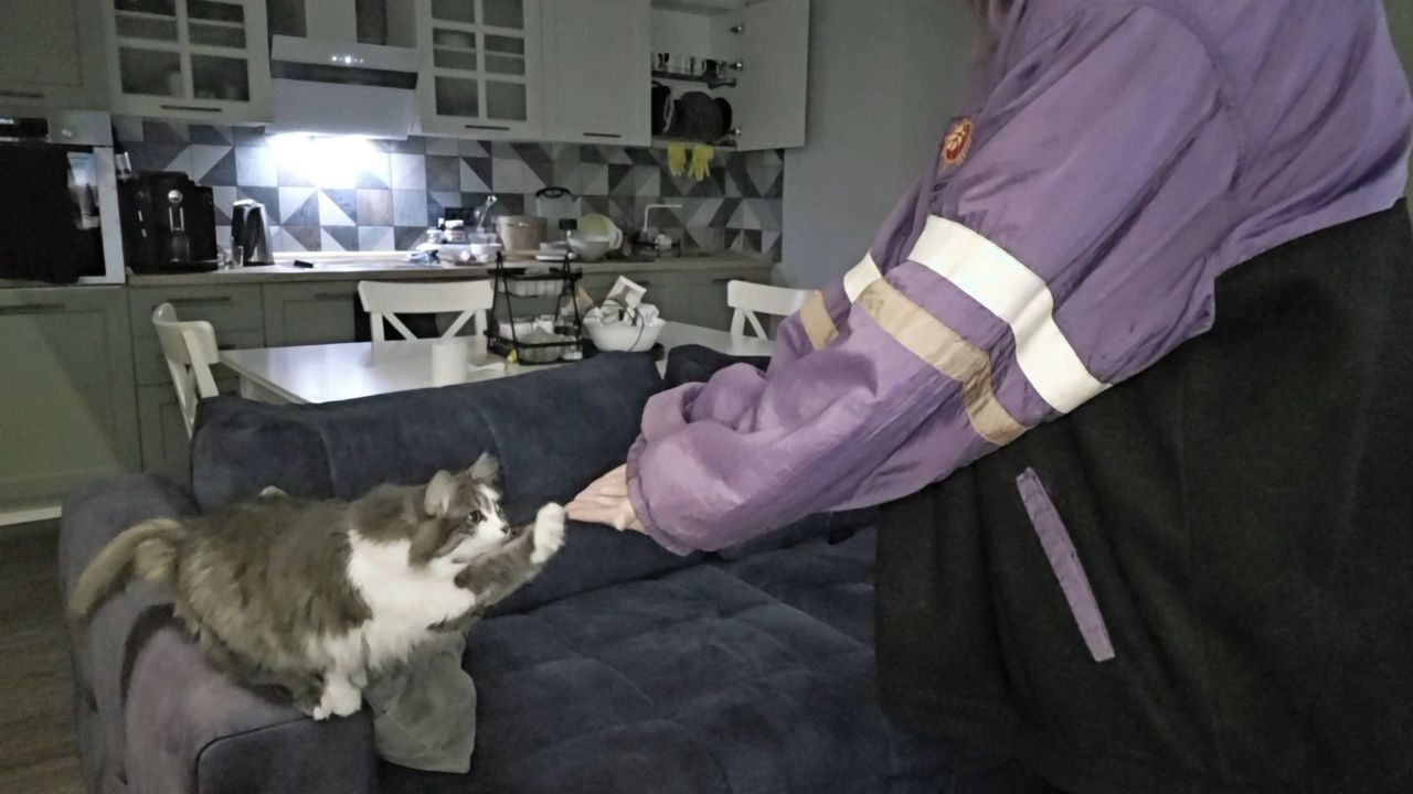 @соня