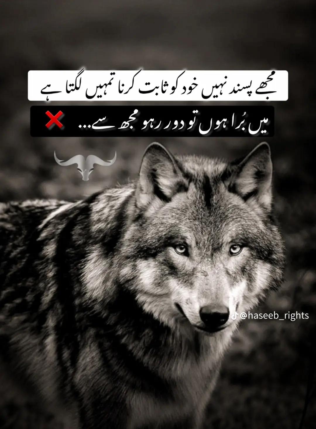 @Abdullah rehmani 😎🇴🇲🫀🇵🇰